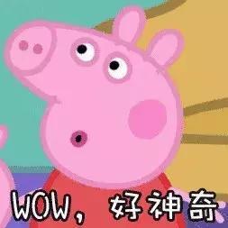 爆料小猪先生抖音视频,小猪先生爆笑视频幕后故事  第2张