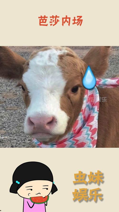 娱乐吃瓜酱鼻塞,揭秘明星们的健康小秘密 第1张 娱乐吃瓜酱鼻塞,揭秘明星们的健康小秘密 第1张